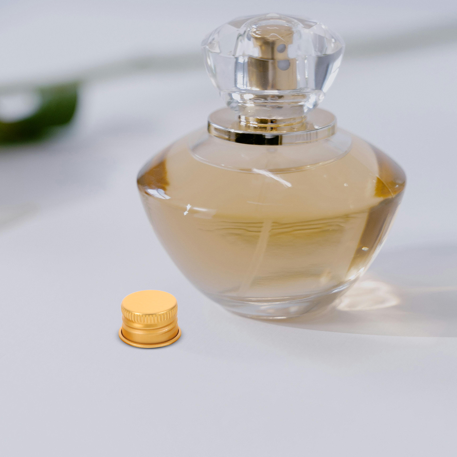 Handtas voor dames Luxe design - Luxury Bags Designer recensie en prijs